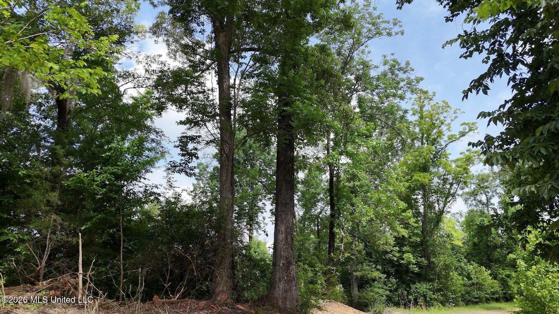 0 Dogwood Road