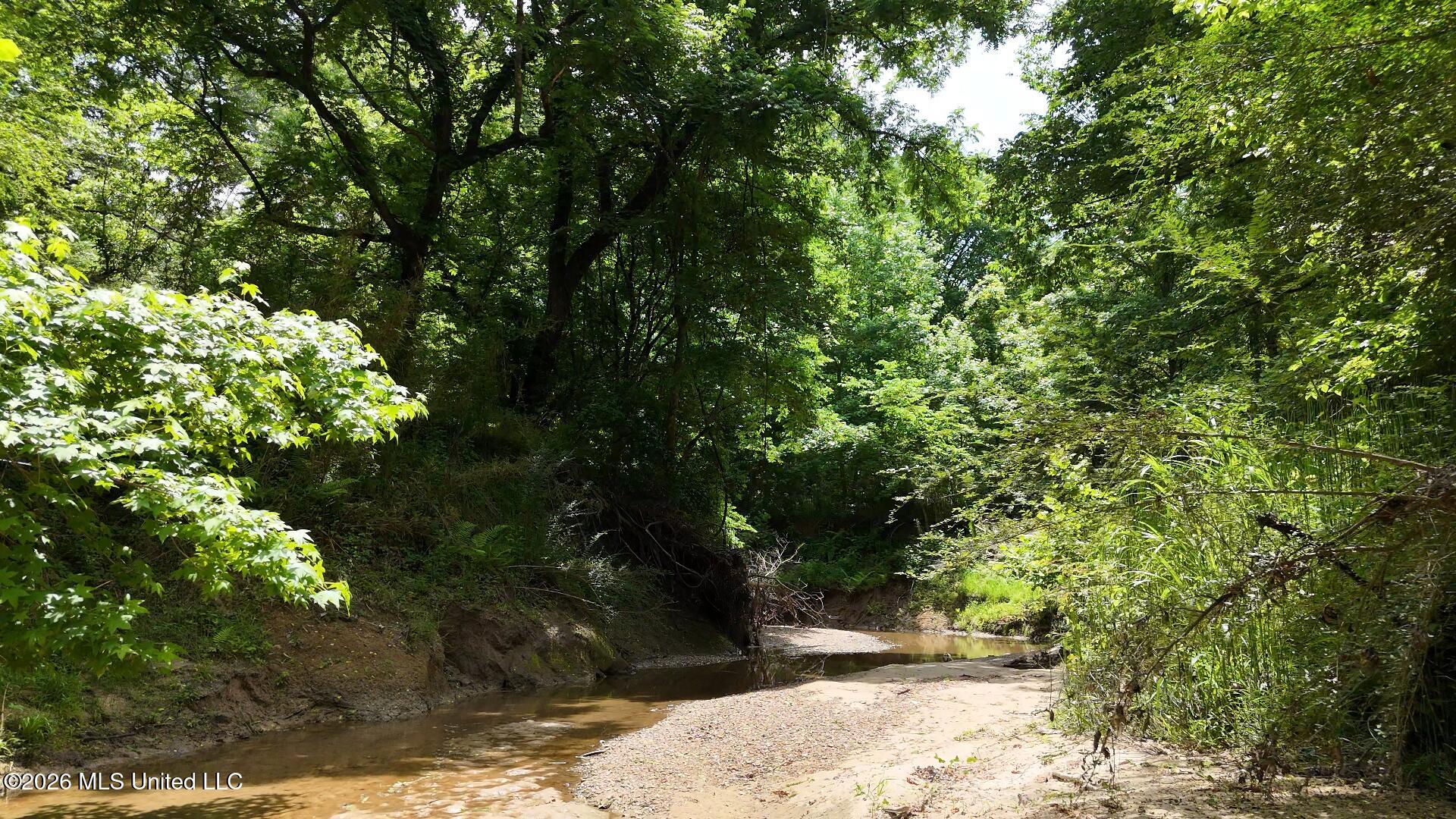 00 Dogwood Road