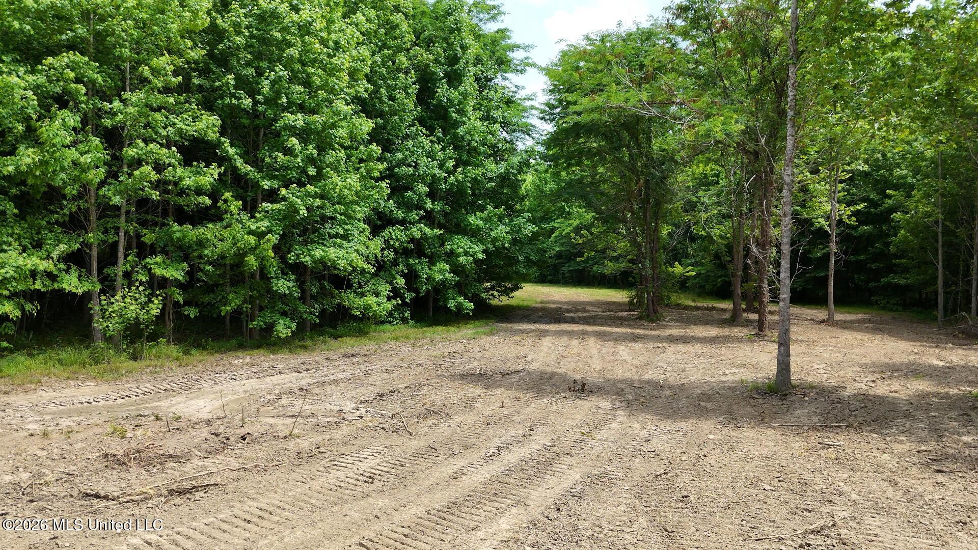 00 Dogwood Road