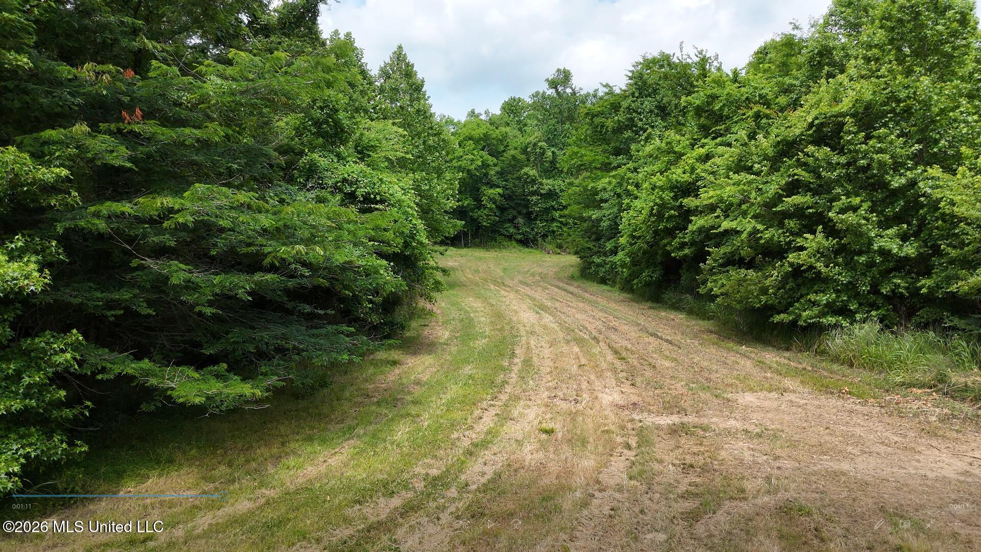 00 Dogwood Road