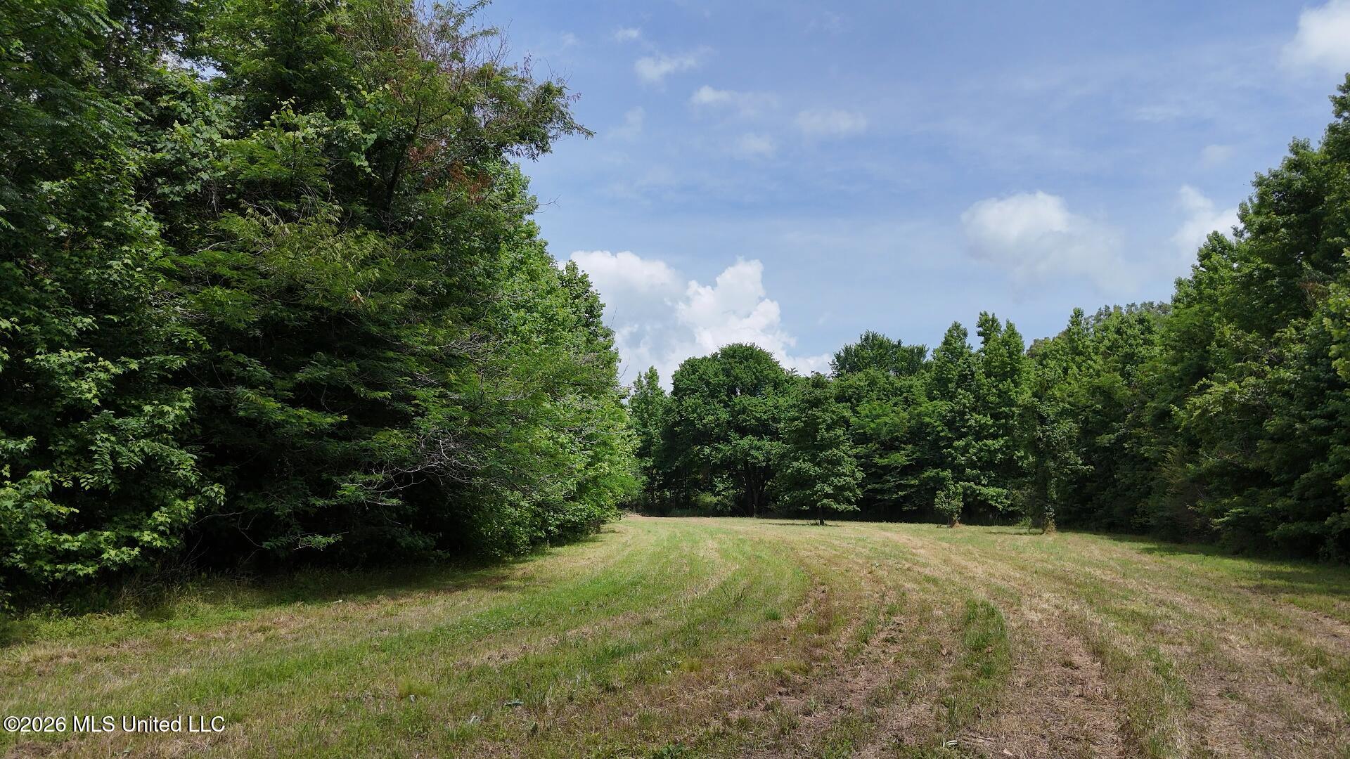 00 Dogwood Road