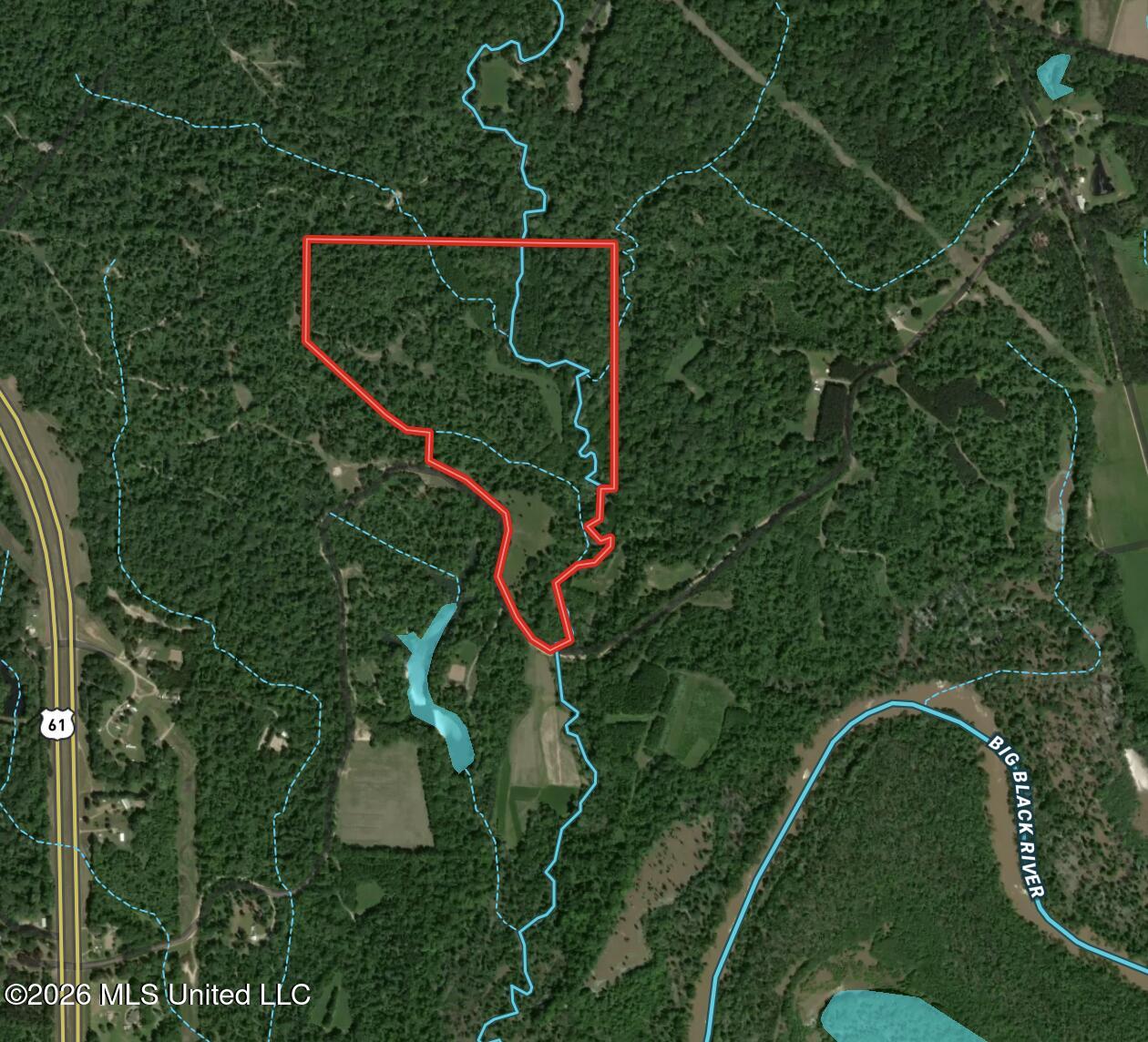 00 Dogwood Road