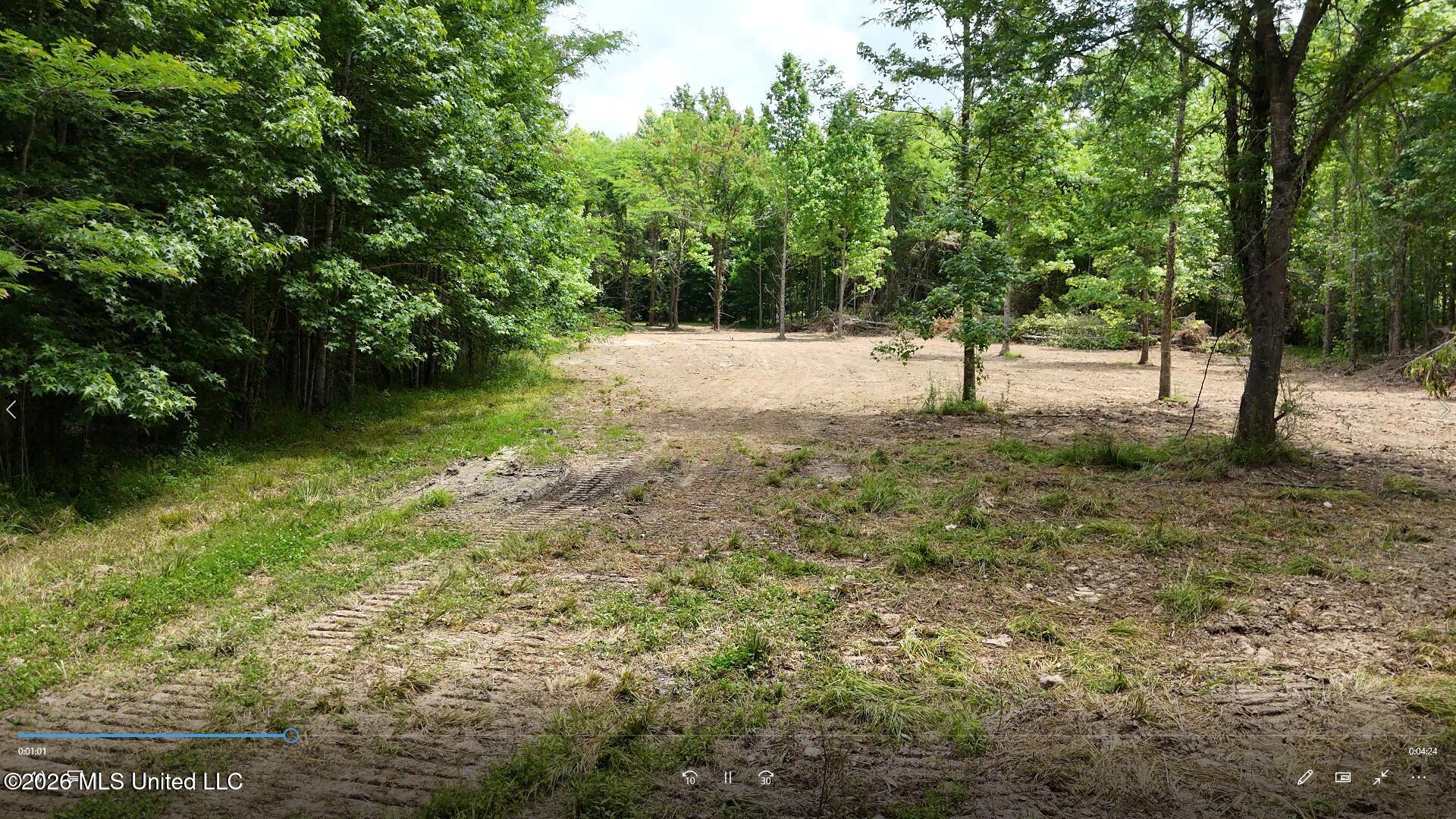 00 Dogwood Road