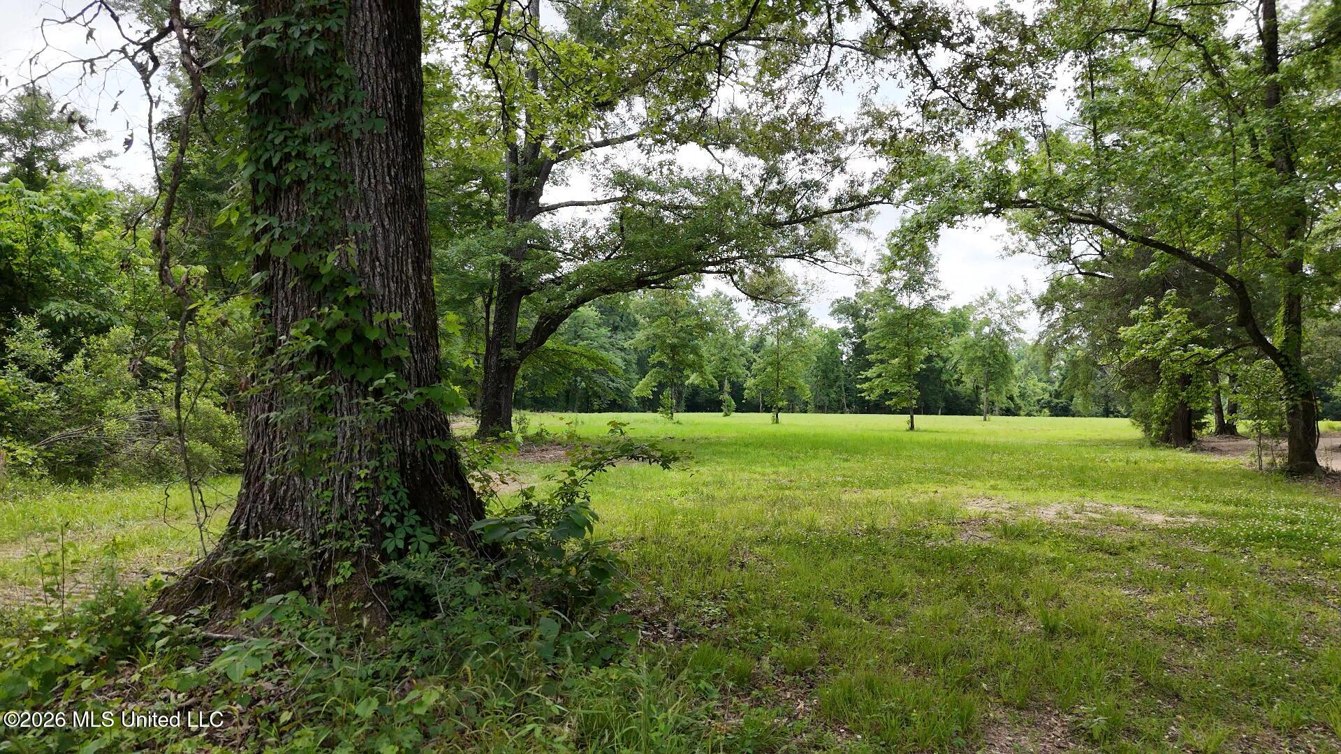 00 Dogwood Road