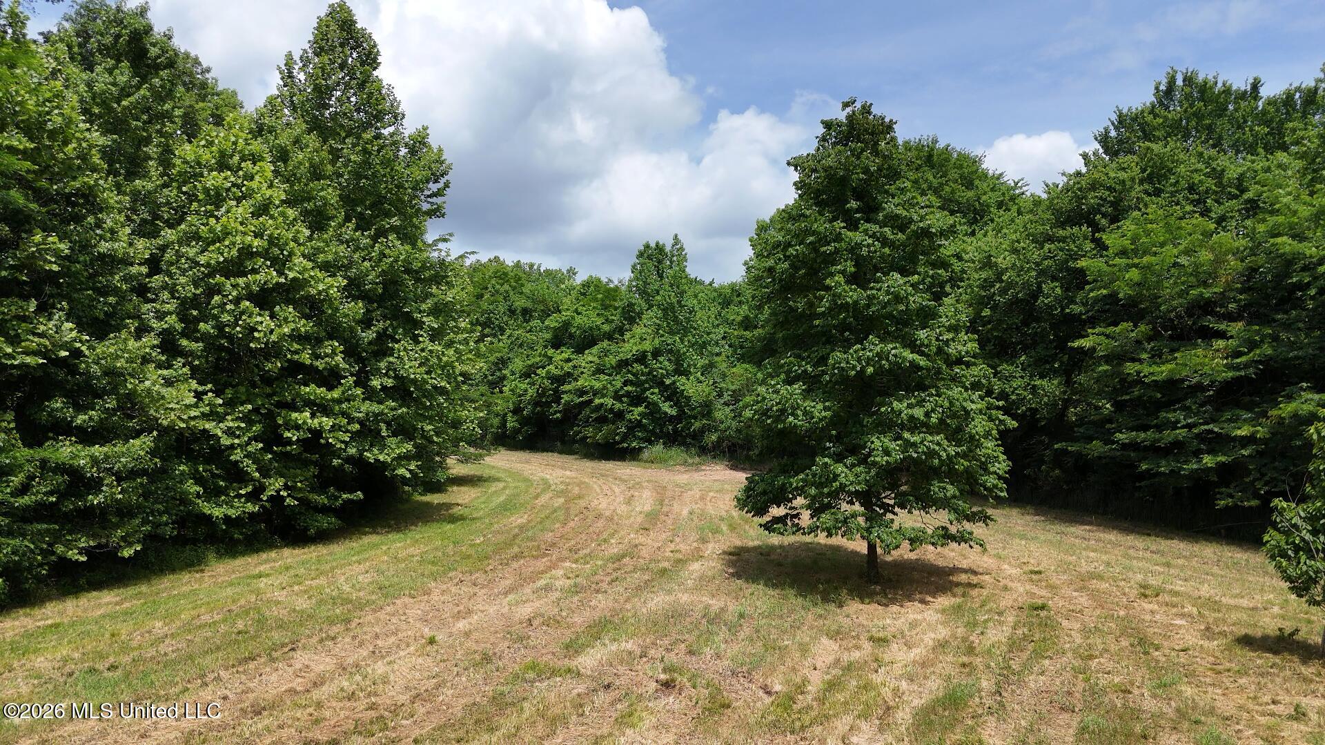 00 Dogwood Road