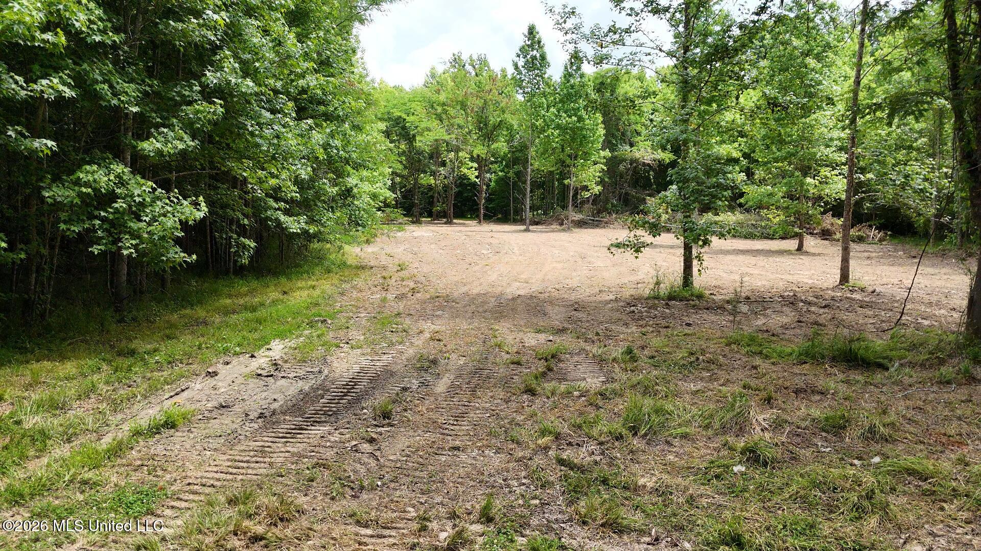 00 Dogwood Road