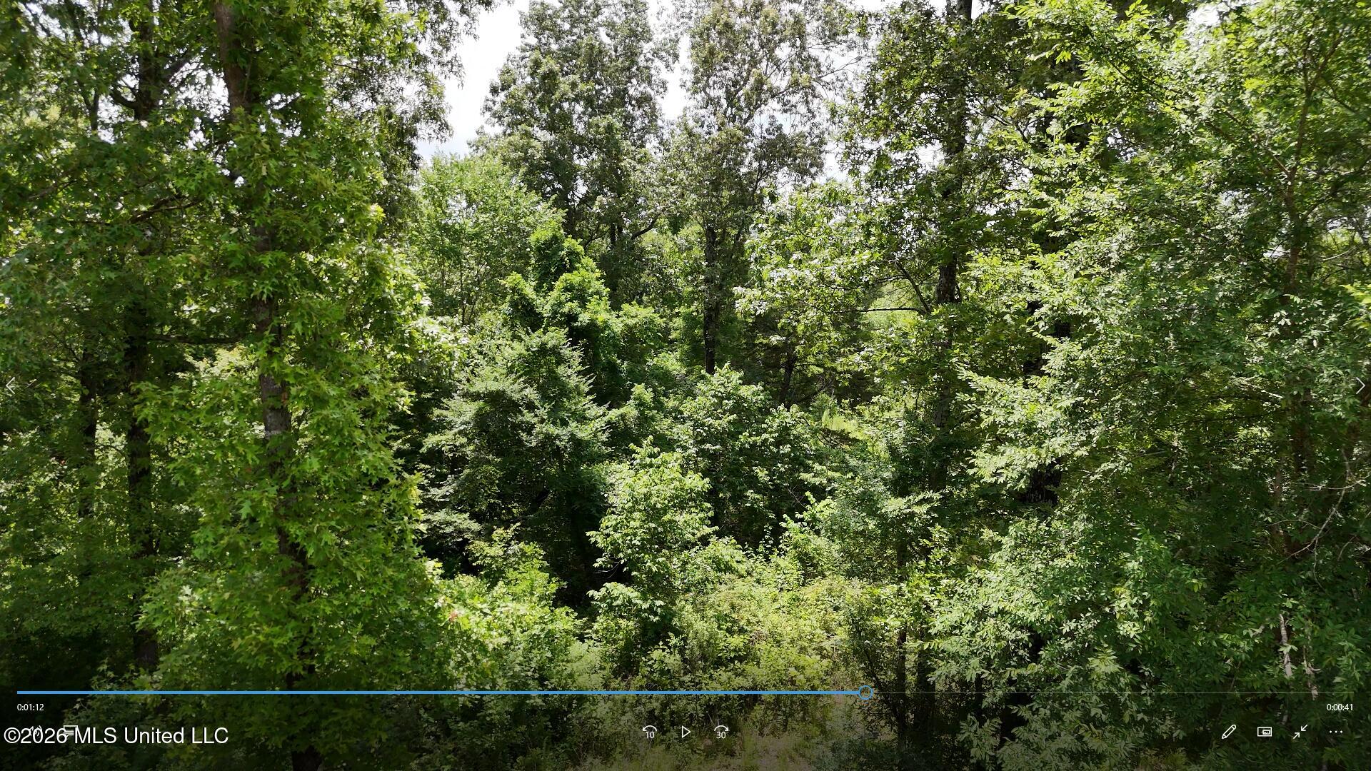 00 Dogwood Road