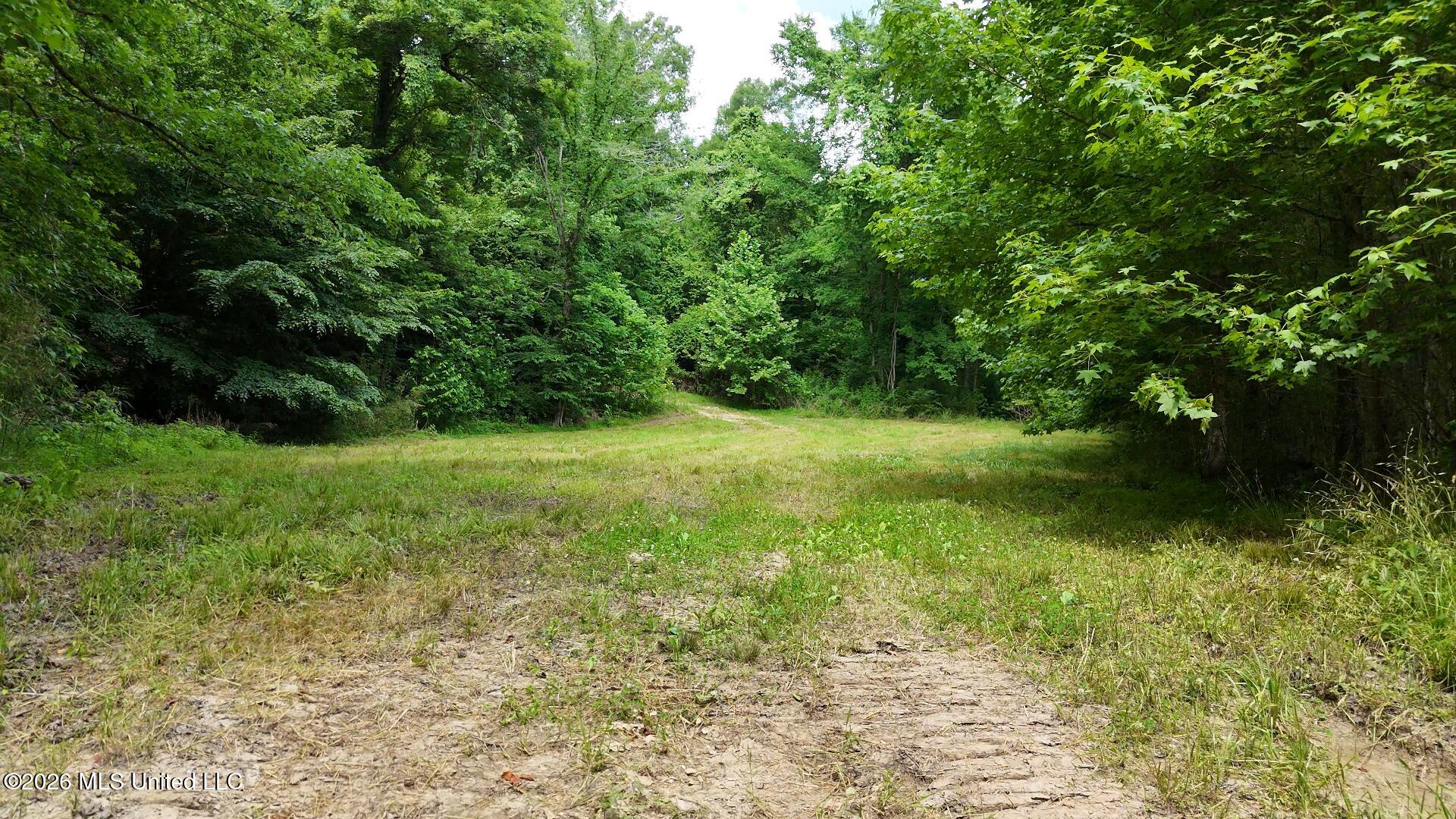 00 Dogwood Road