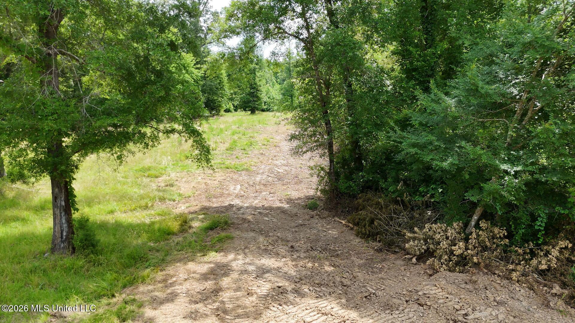 00 Dogwood Road