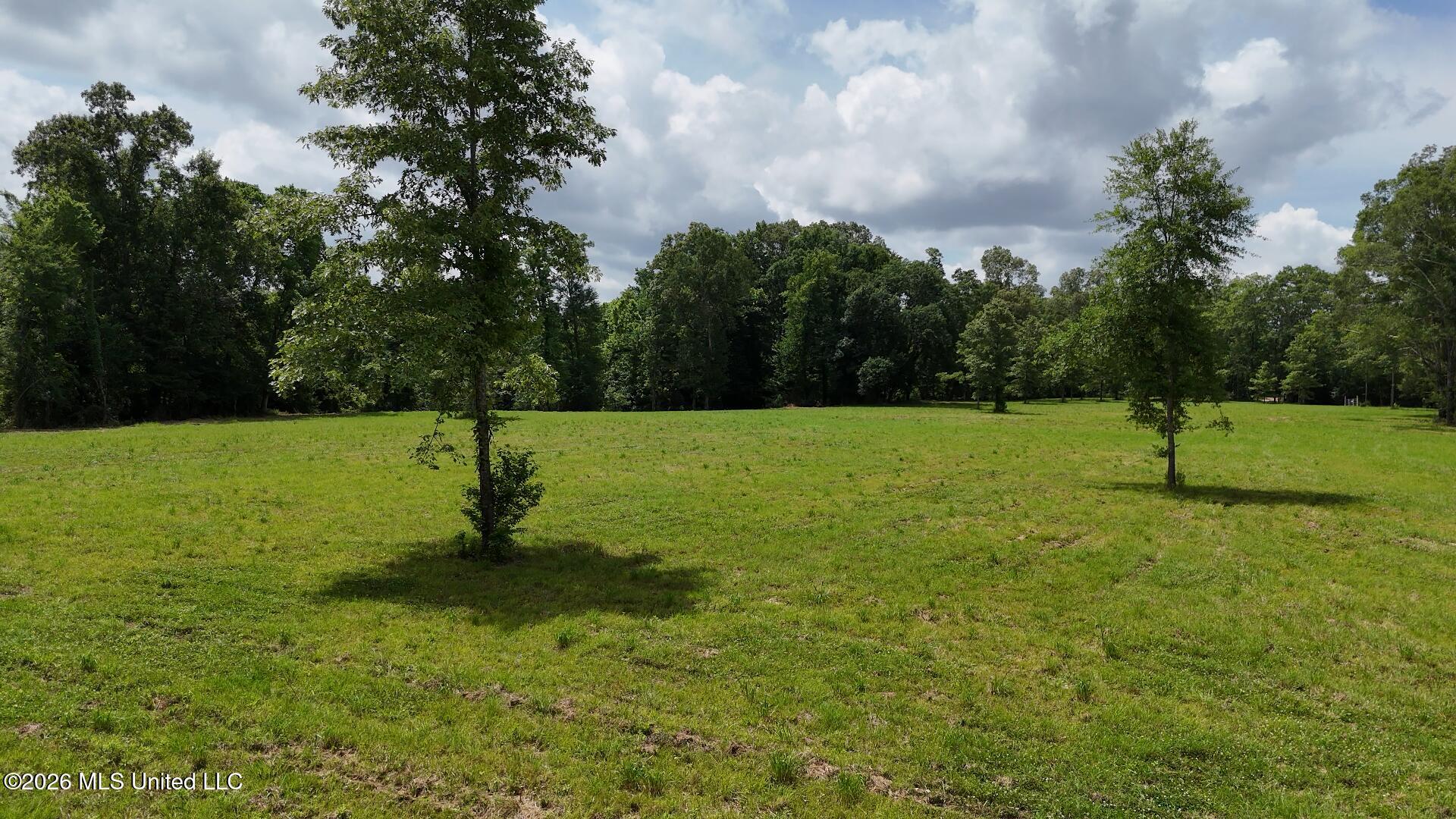 00 Dogwood Road