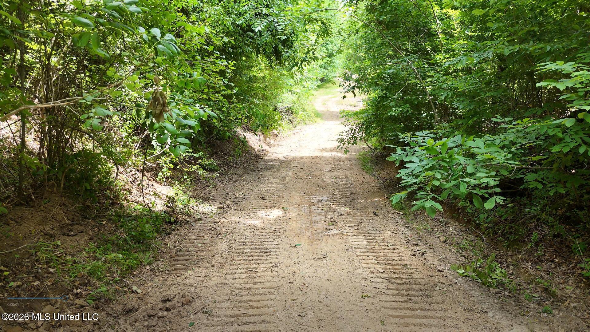 00 Dogwood Road