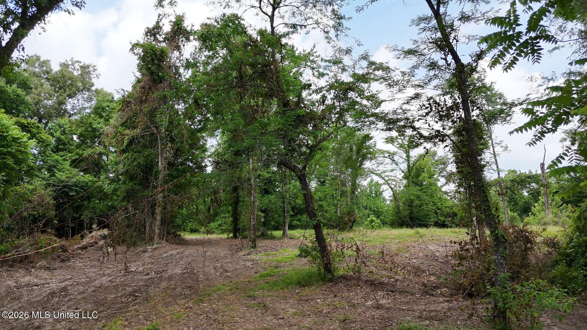 00 Dogwood Road