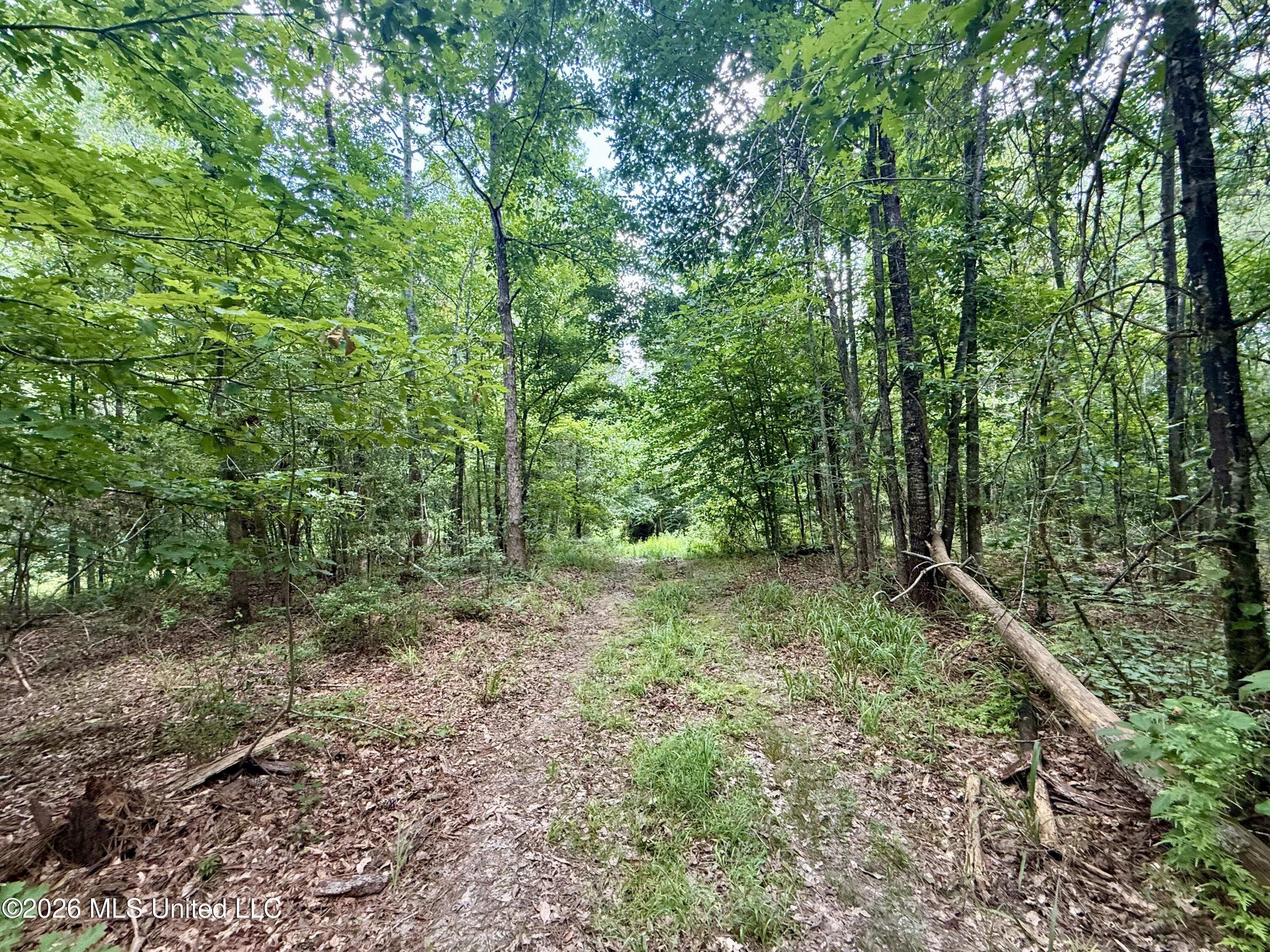 Chisholm Drive