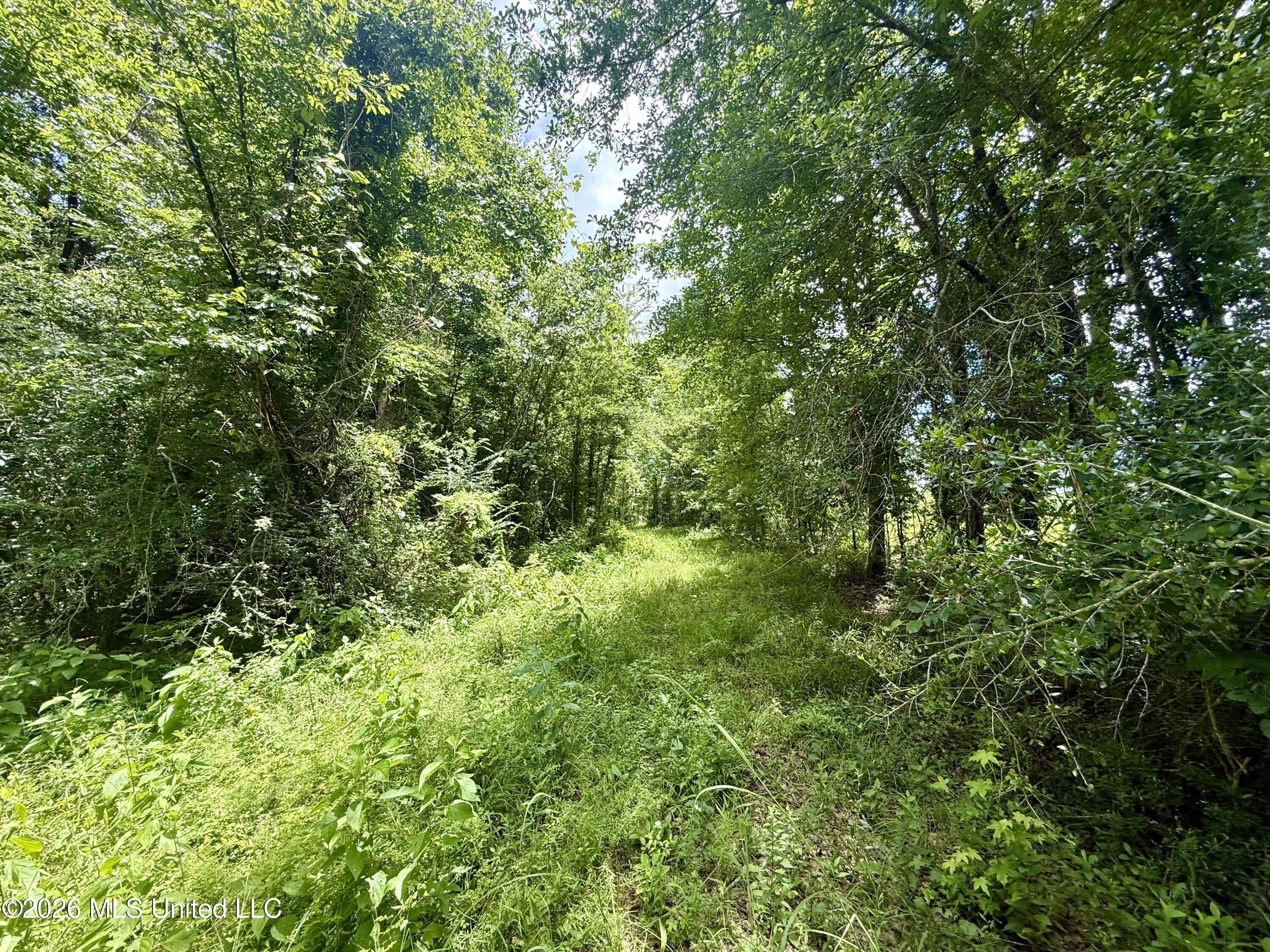 Chisholm Drive