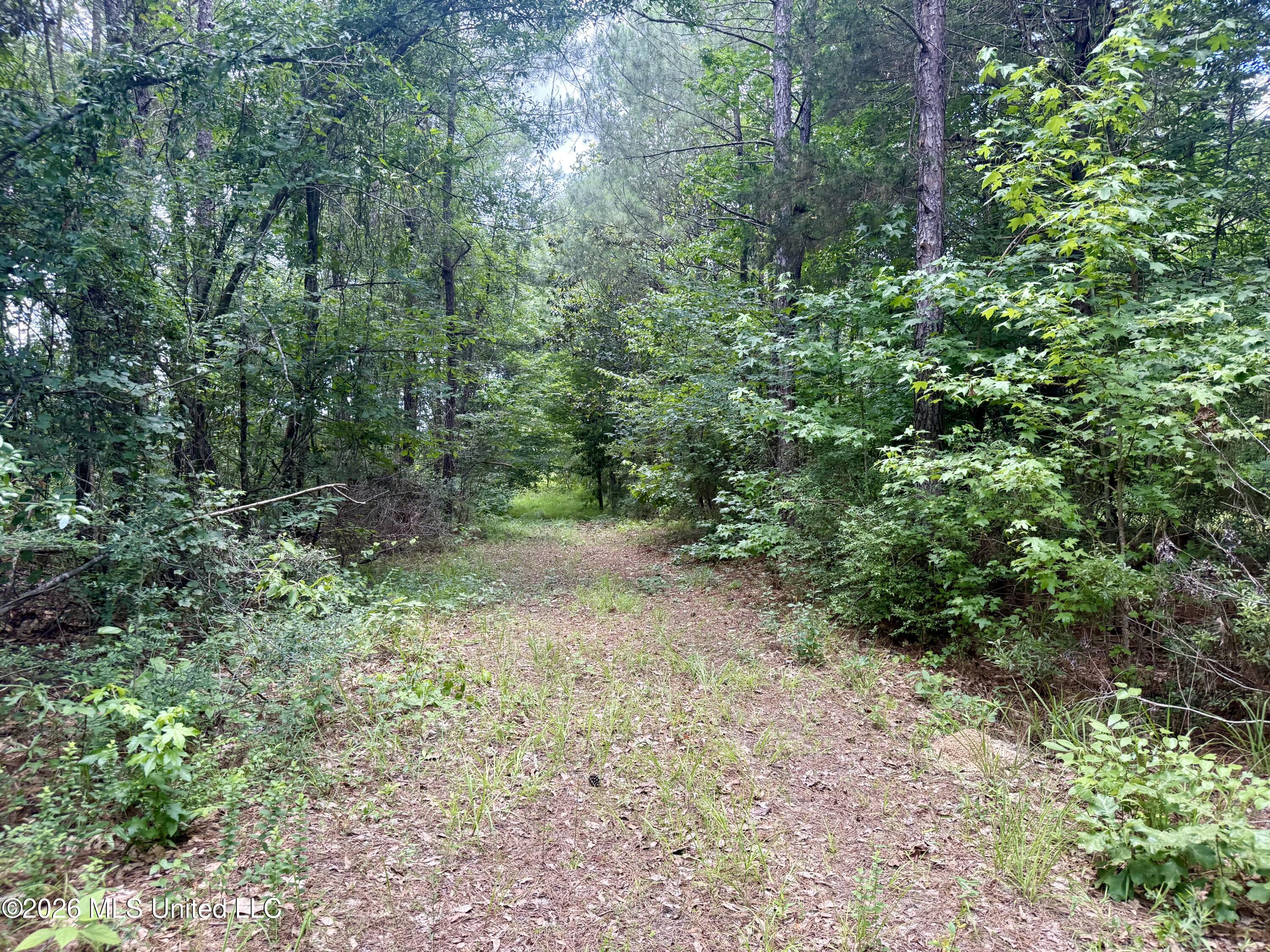 Chisholm Drive