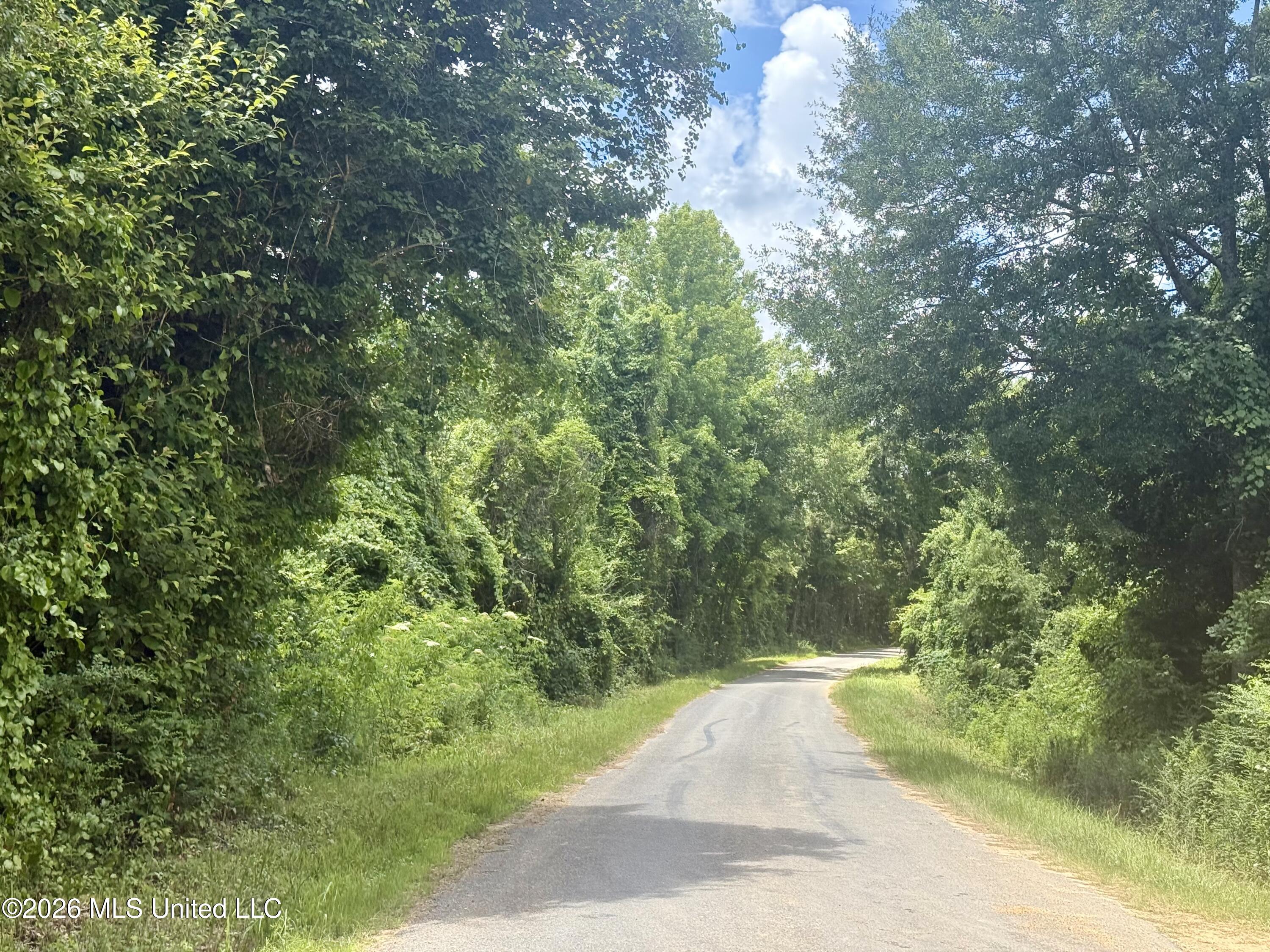 Chisholm Drive