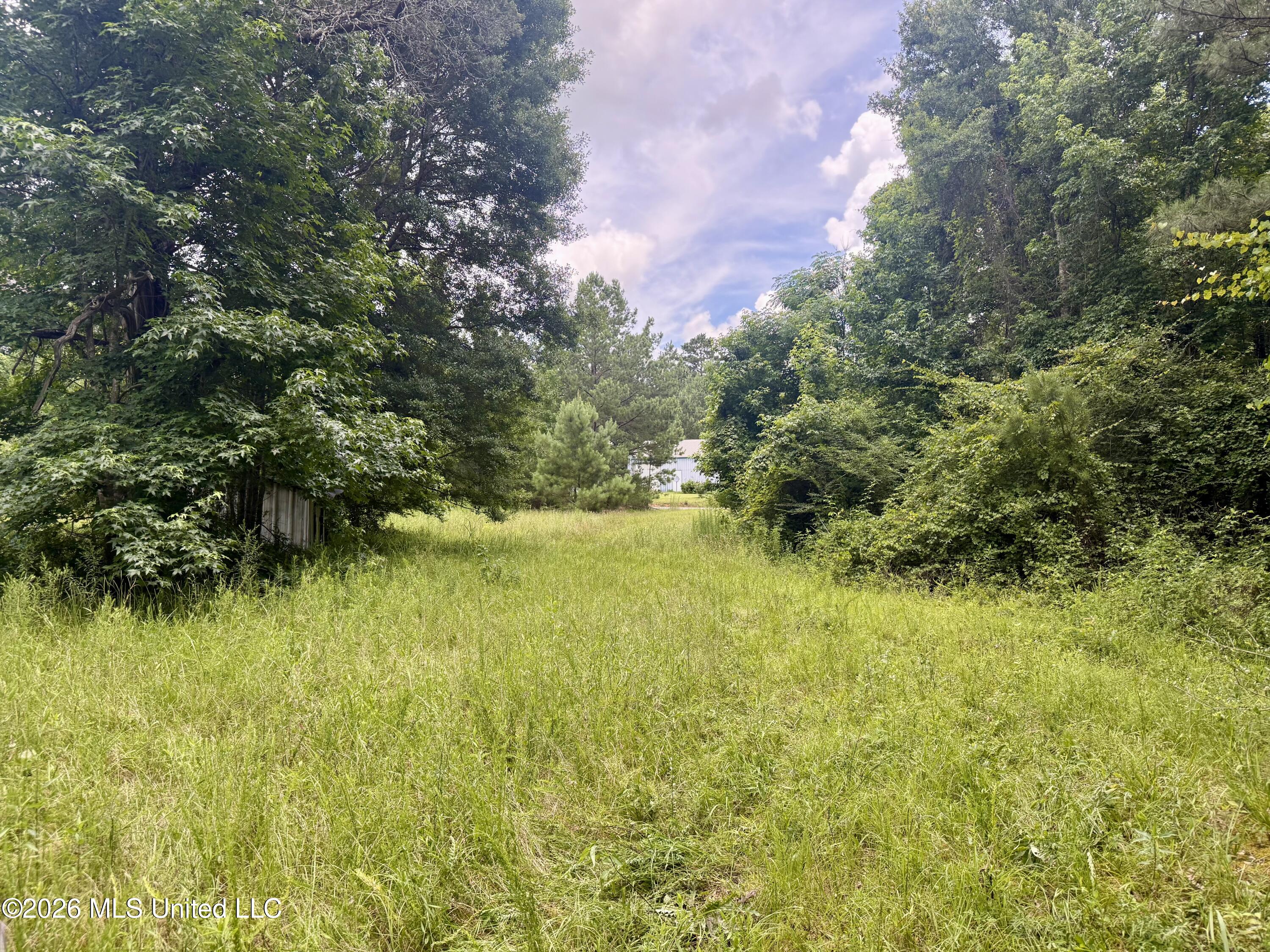 Chisholm Drive
