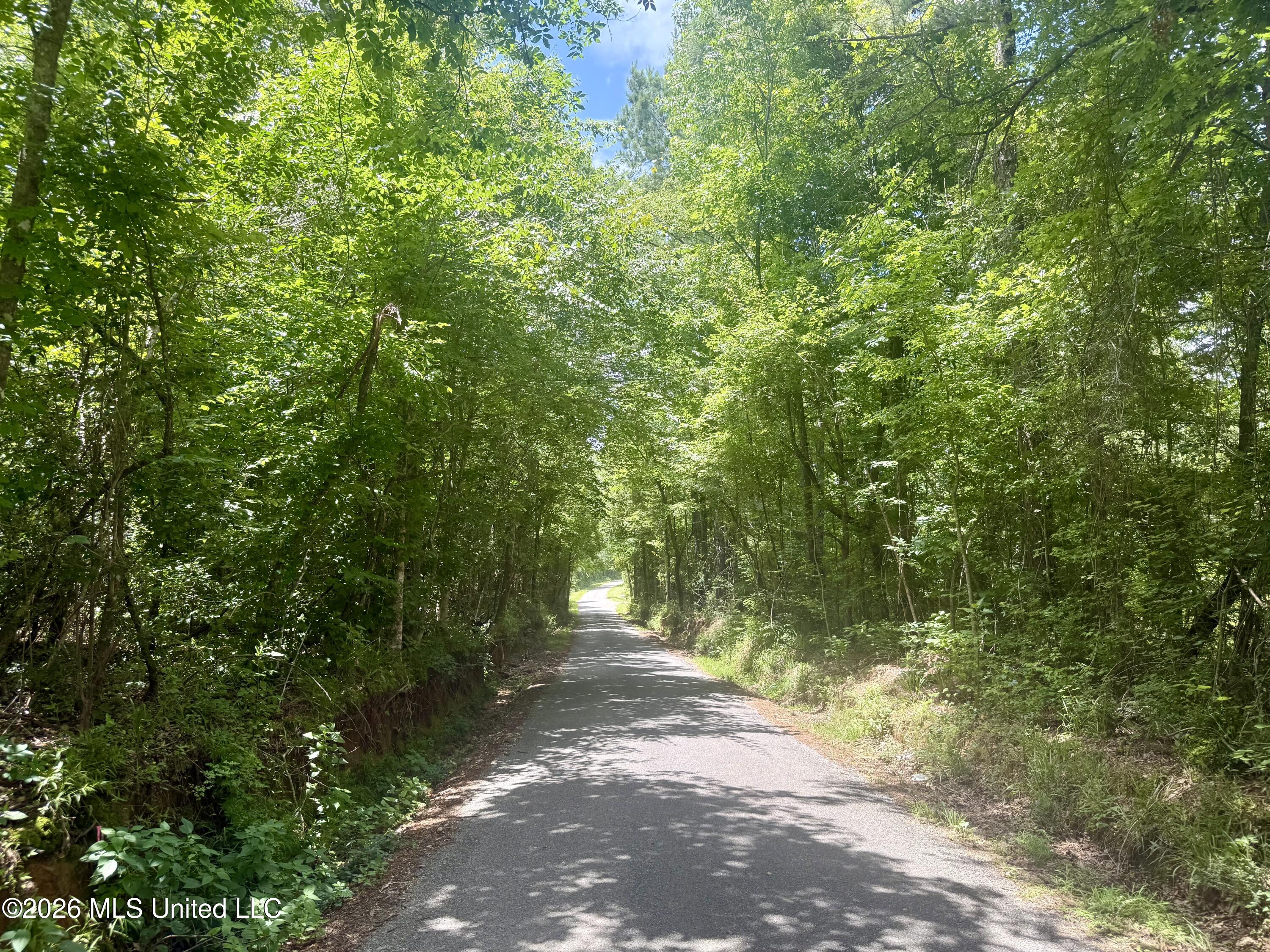 Chisholm Drive