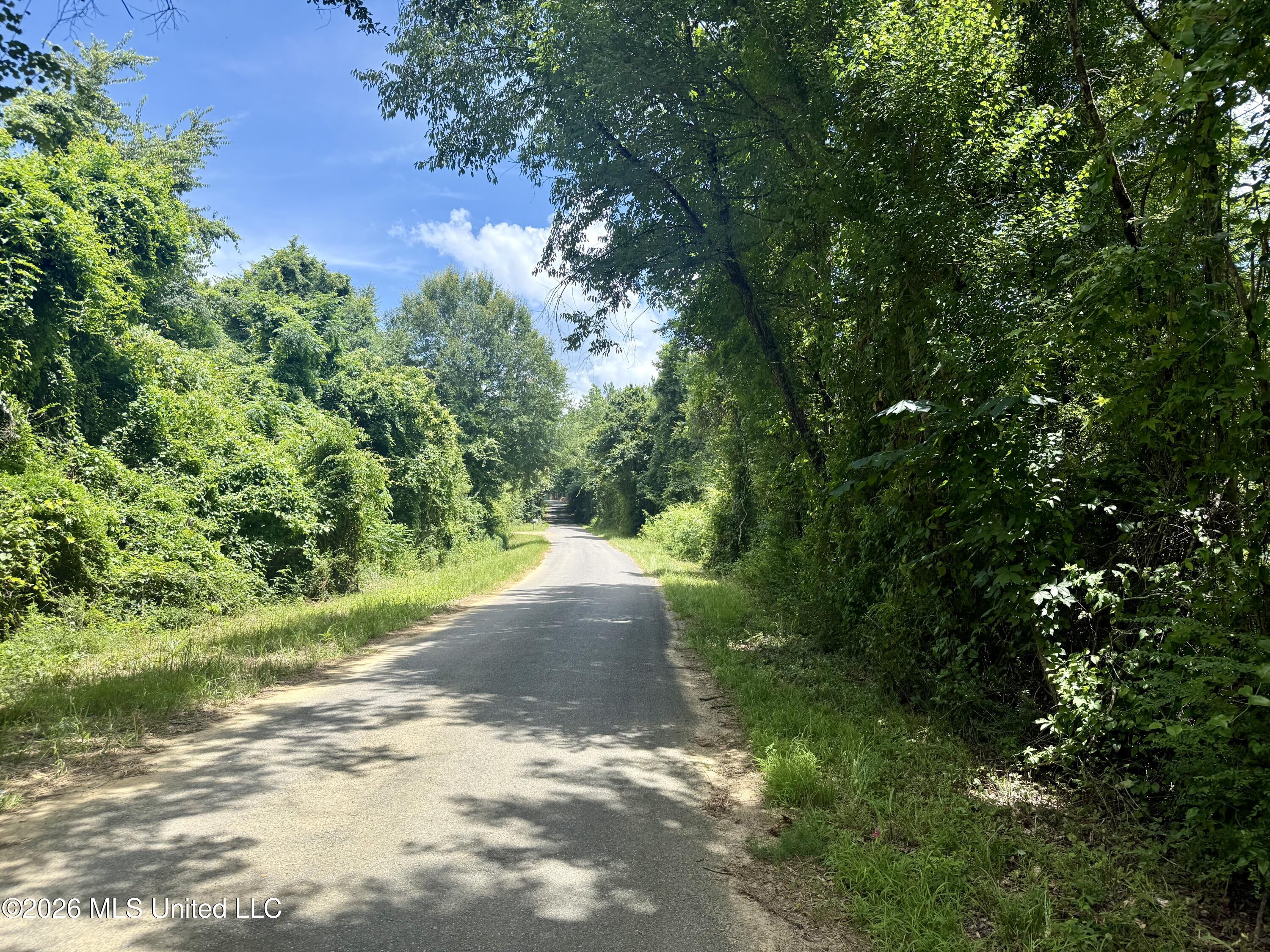 Chisholm Drive
