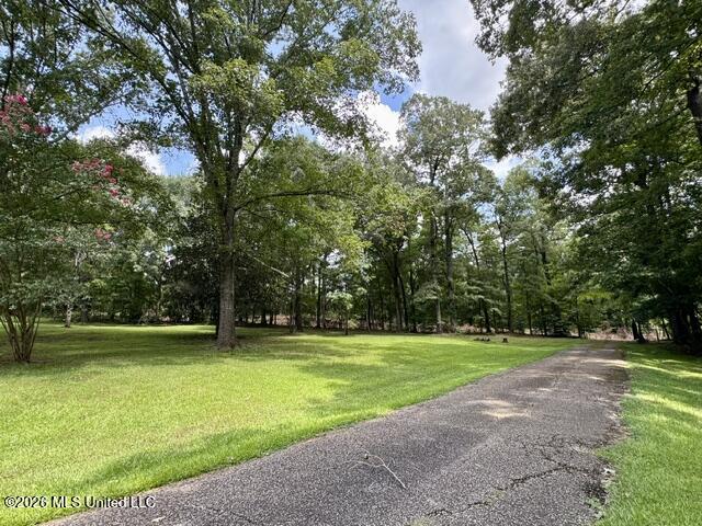 481 Greenfield Road