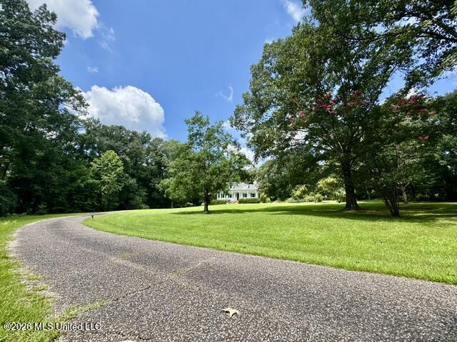 481 Greenfield Road