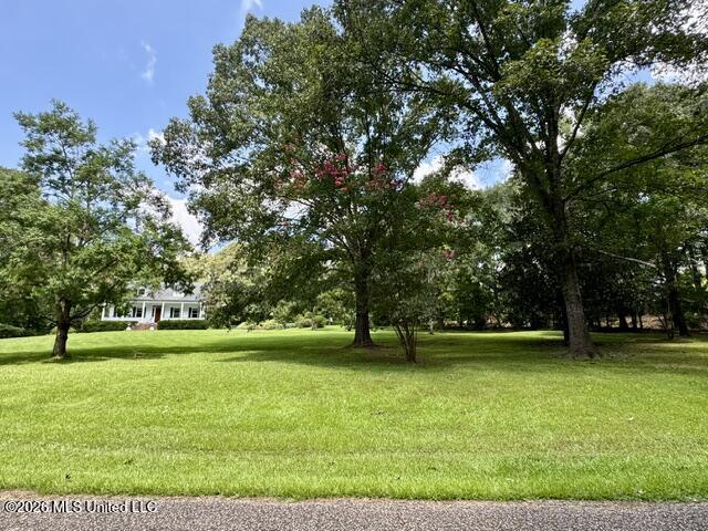 481 Greenfield Road