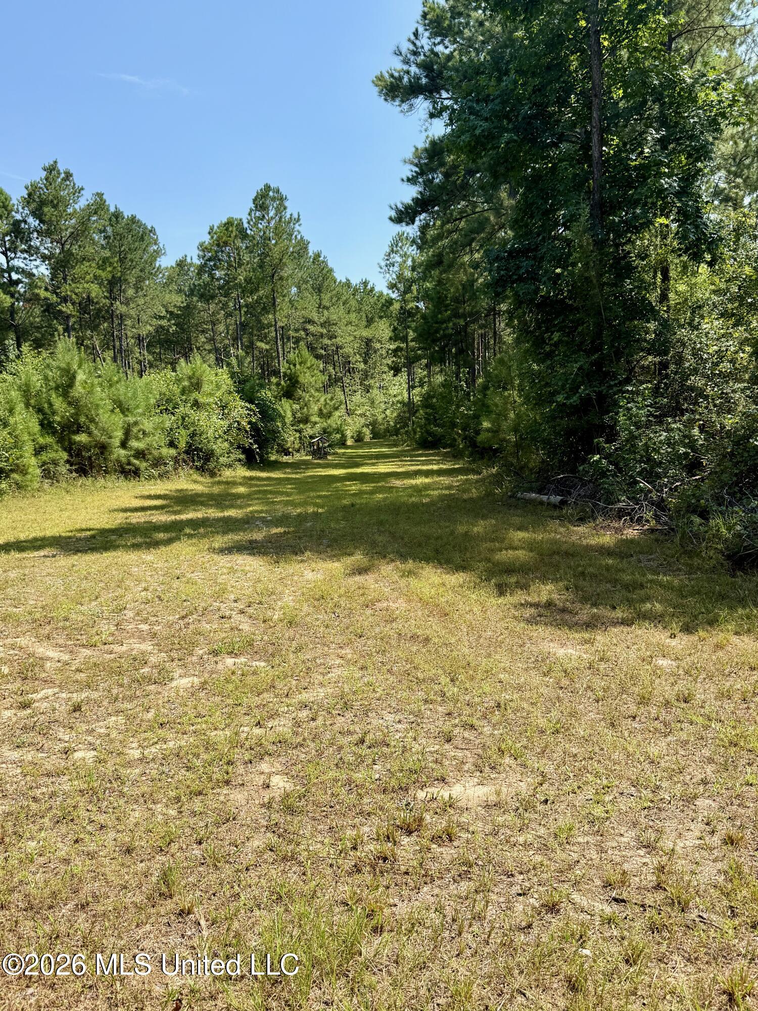 Storey Parkman