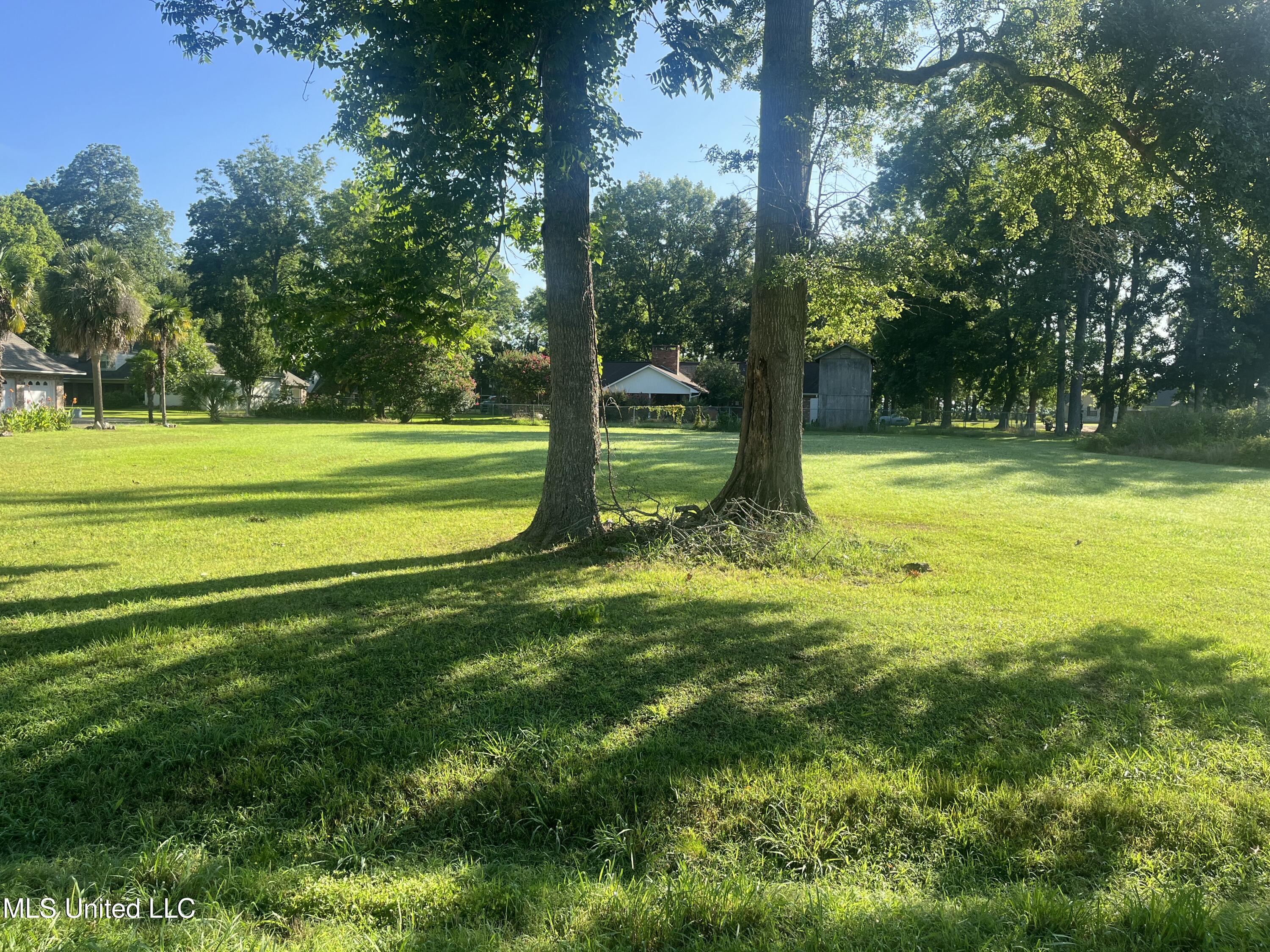 Panola Drive