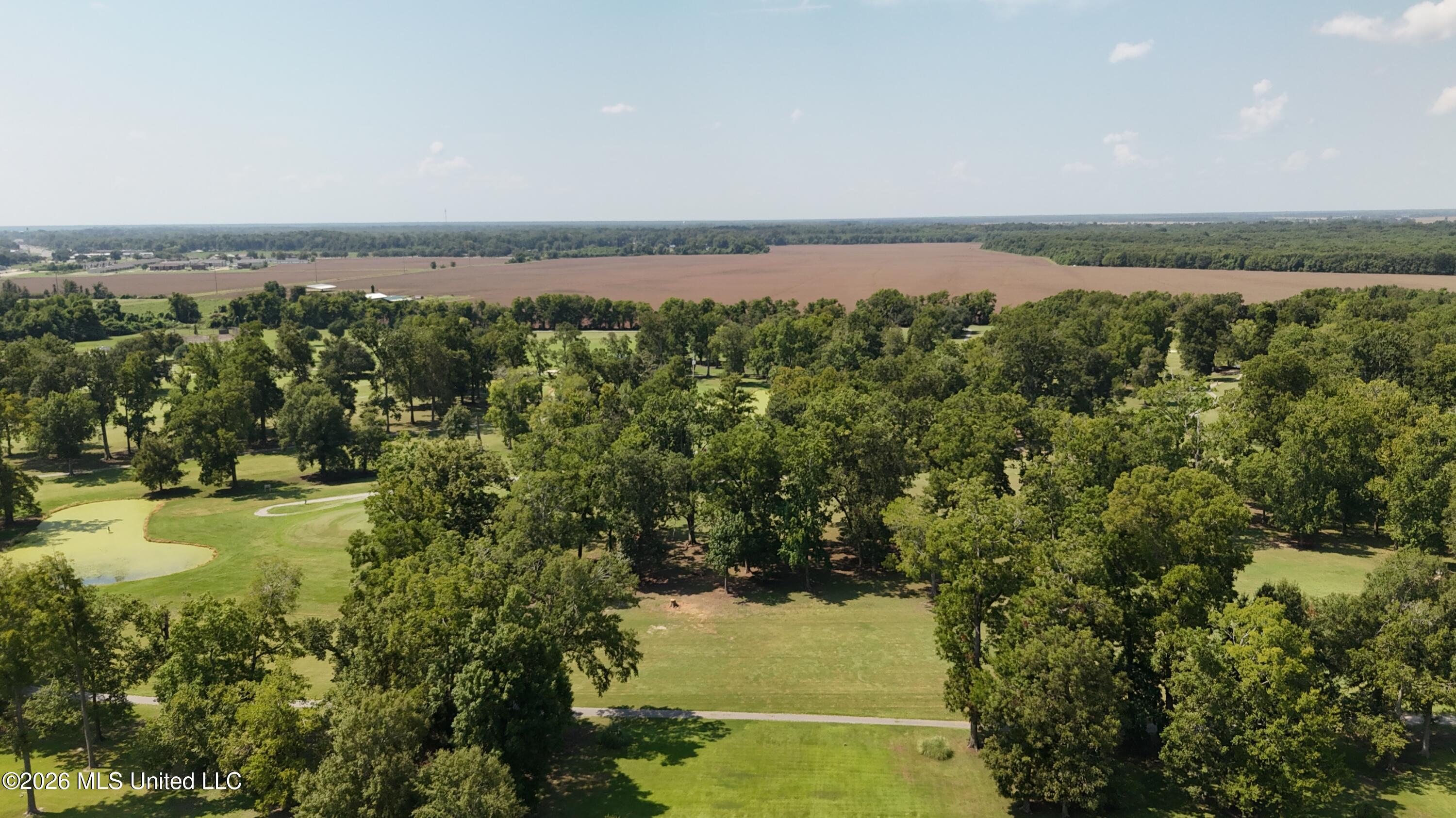 Panola Drive