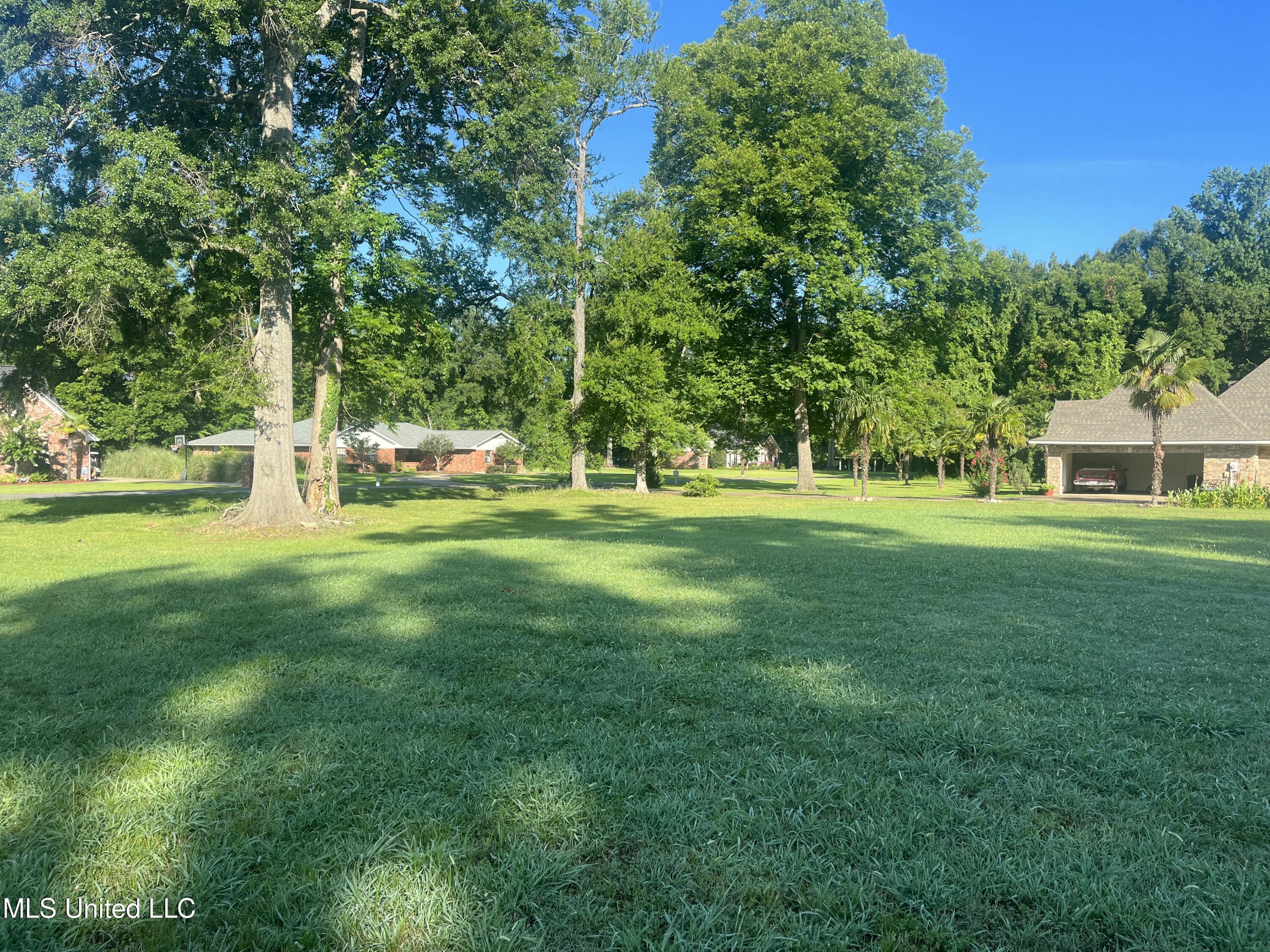Panola Drive