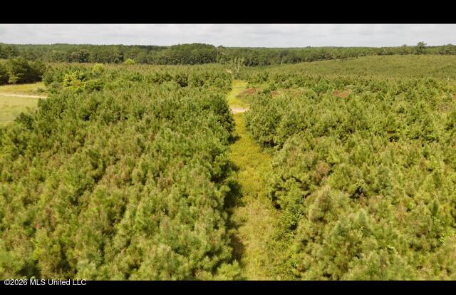 Ten Mile Creek Road