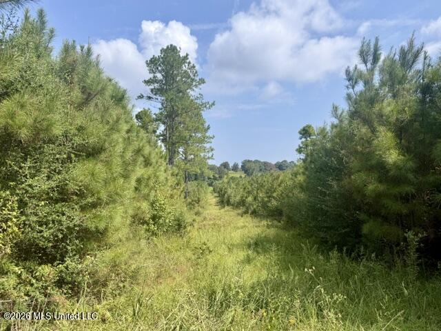 Ten Mile Creek Road
