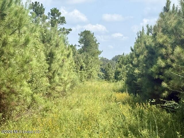 Ten Mile Creek Road