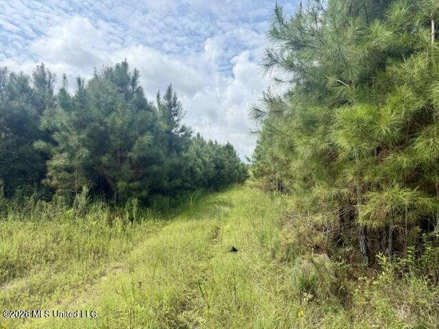 Ten Mile Creek Road