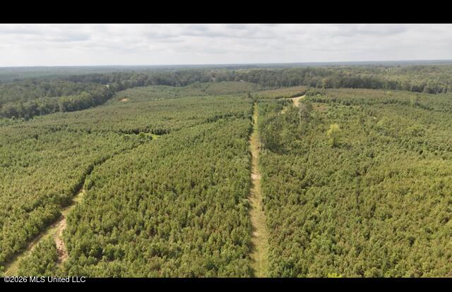Ten Mile Creek Road