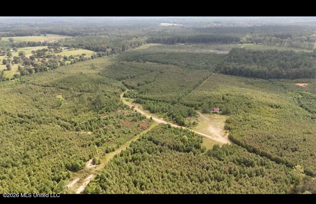 Ten Mile Creek Road