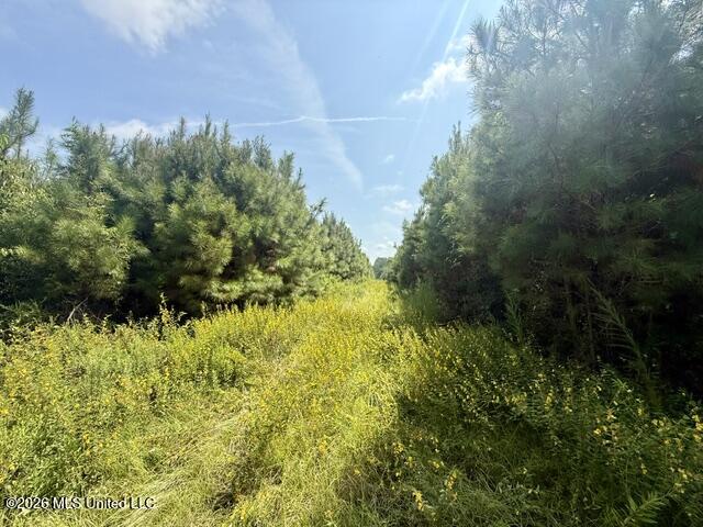 Ten Mile Creek Road