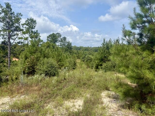 Ten Mile Creek Road