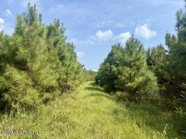 Ten Mile Creek Road