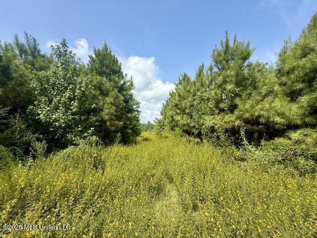 Ten Mile Creek Road