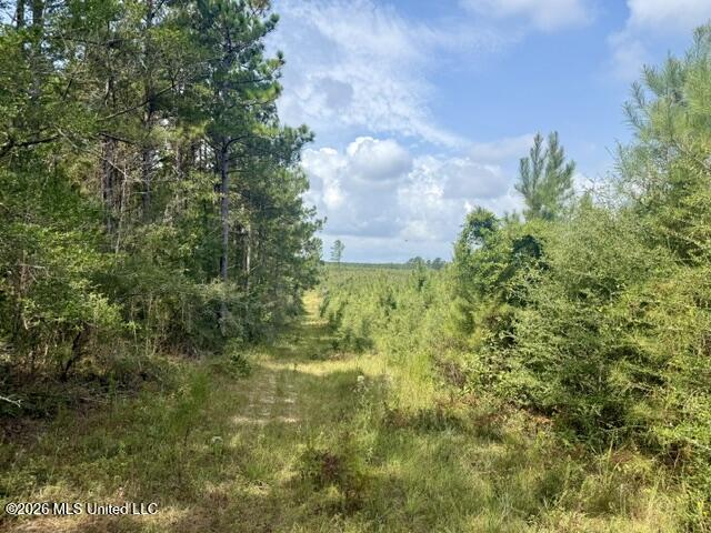 Ten Mile Creek Road