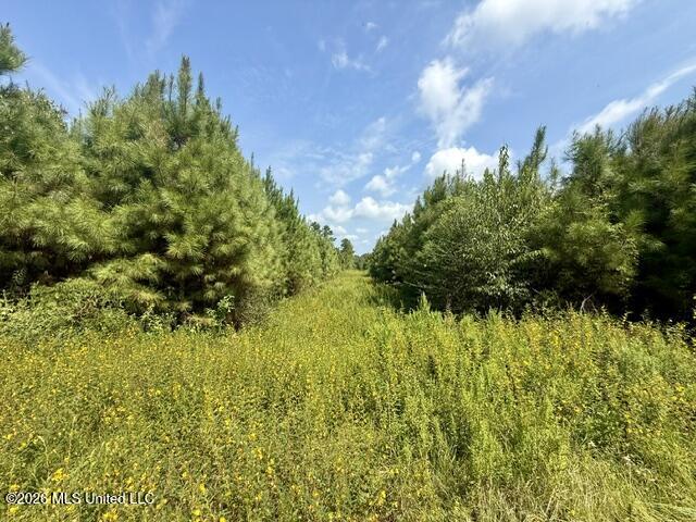 Ten Mile Creek Road