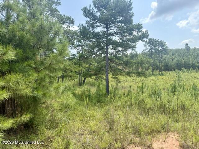 Ten Mile Creek Road
