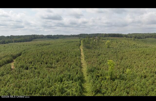 Ten Mile Creek Road