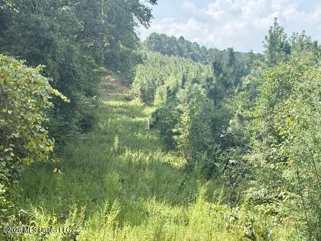 Ten Mile Creek Road