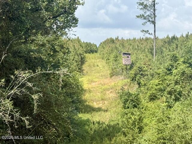 Ten Mile Creek Road