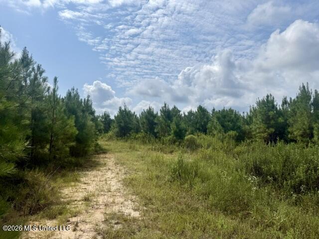 Ten Mile Creek Road