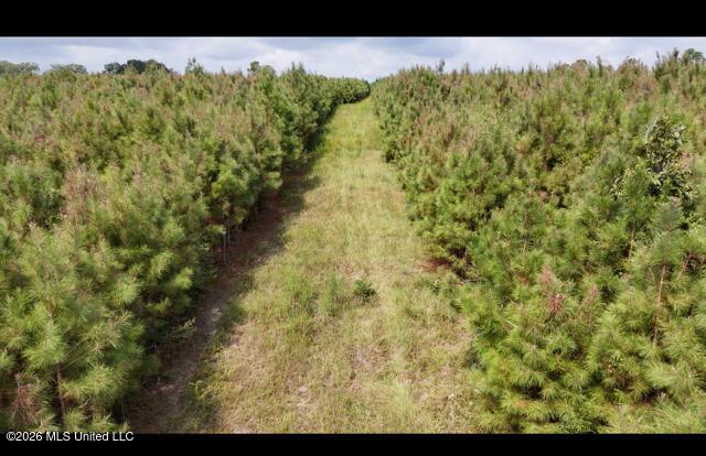 Ten Mile Creek Road