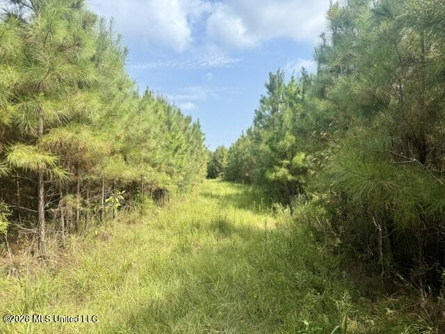 Ten Mile Creek Road
