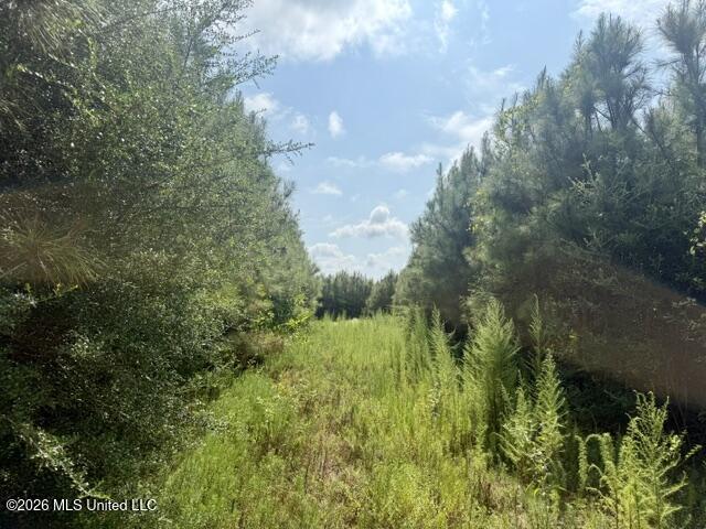 Ten Mile Creek Road